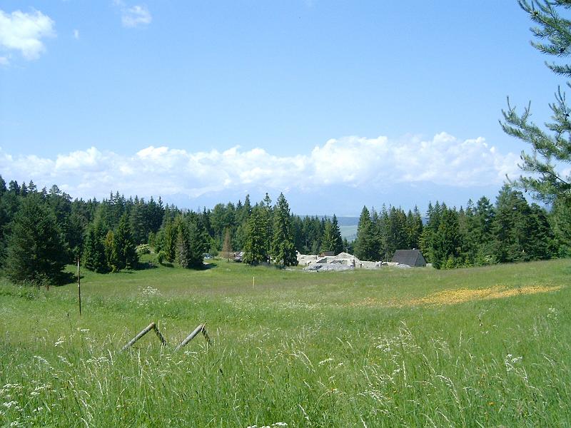 20120616 033.jpg